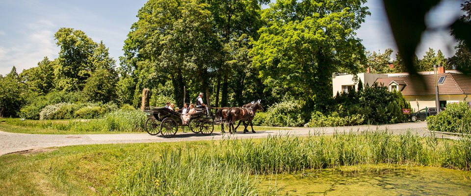 Hochzeitskutsche Cottbus Spremberg